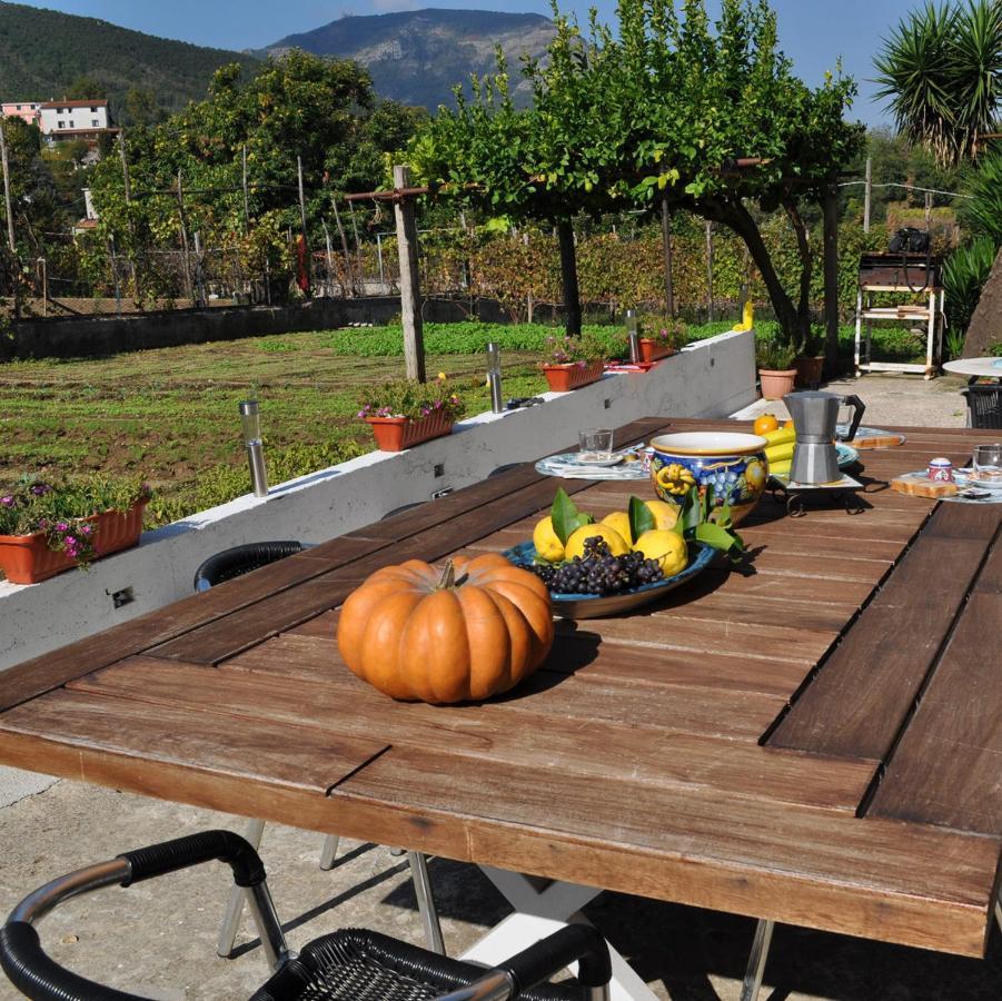 Contrada Vigna Bed & Breakfast Vietri Exterior foto